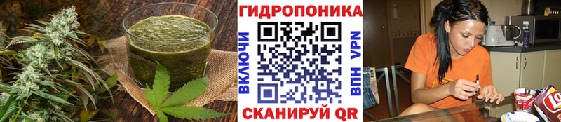 Cannafood марихуана  купить закладку  Балахна 