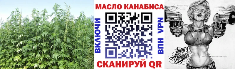 где можно купить   Балахна  ТГК концентрат 