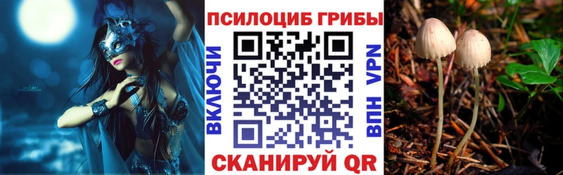 где продают   Балахна  площадка Telegram  Галлюциногенные грибы мухоморы 